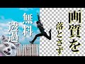 背景透過サイトなら、これ一択！AI背景透過サイト「Pixlr」｜背景透過 やり方
