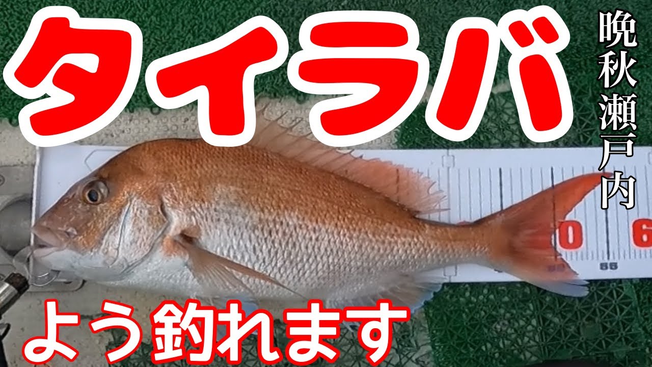 瀬戸内タイラバ 冬目前だが釣れる Youtube