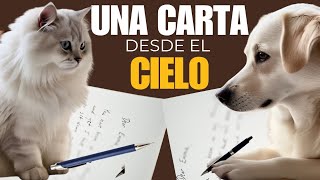 UNA CARTA DESDE EL CIELO 😿🐕🦺 #cielo #tristeza #dolor #familia #hogar #mascotas UNA CARTA DESDE EL CIELO 😿🐕🦺 #cielo #tristeza #dolor #familia #hogar #mascotas