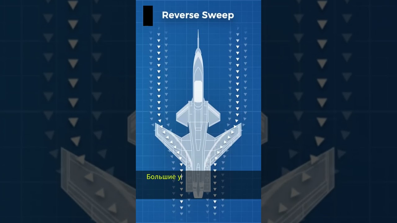 Крыло обратной стреловидности 