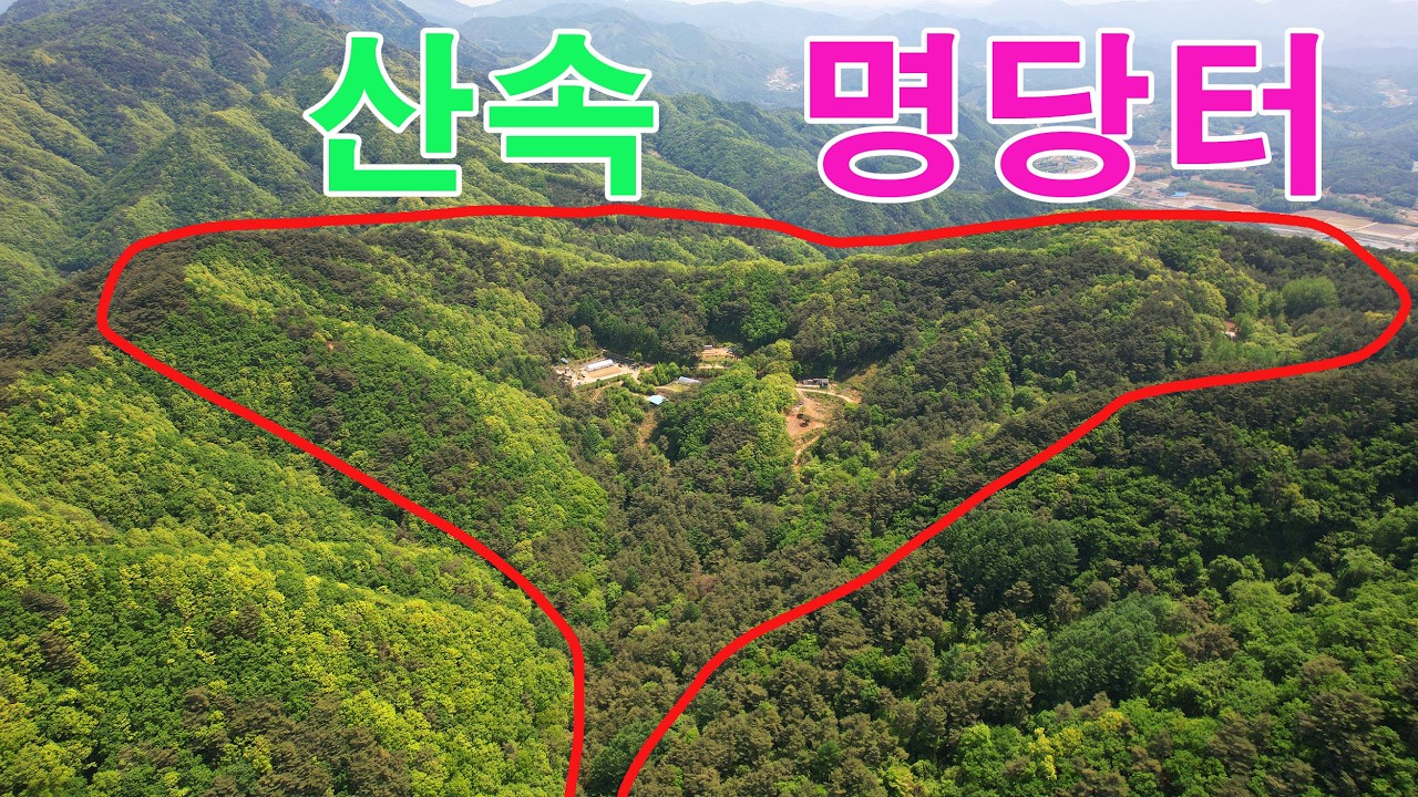 (전기들오왔어요~)홍천임도길 명당터 토지! 오지같은곳 산속에 매물안내ㅣ 국내 유일 토지 자부합니다~