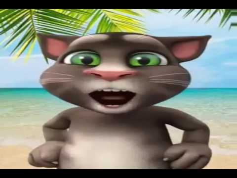 საყვარელი ფისო