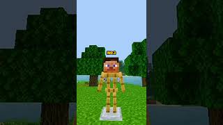 Types of Minecraft Players