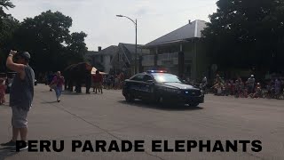 Peru 2021 Circus Parade Elephants
