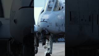 US Jet With a Giant Cannon! A-10 Warthog
