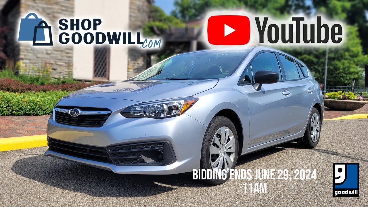 ShopGoodwill Auction for 6/29/24