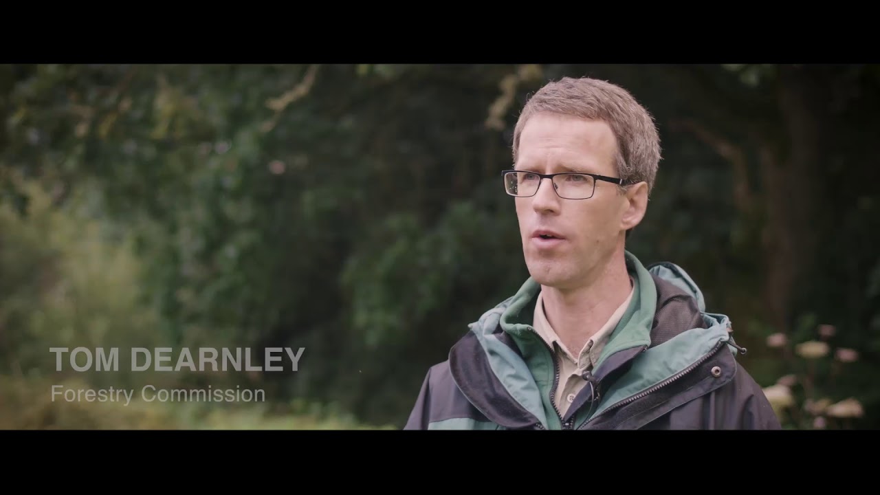 northumberland county council Kielderhead Wildwood 2017