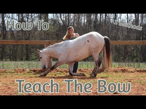 Video: How To Teach A Horse To Bow