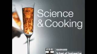 Science and Cooking: A Dialogue | Lecture 1 (2010)