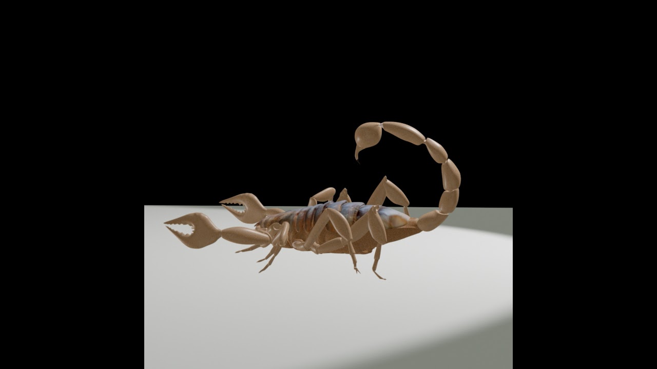 scorpion animation - YouTube