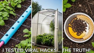 Tried 10 NEW Viral Dollar Tree Garden Hacks – I Didn’t Expect This 