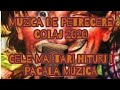 Muzica de Petrecere 🔊Moldoveneasca Super Colaj Video  2020 📞+37368173807