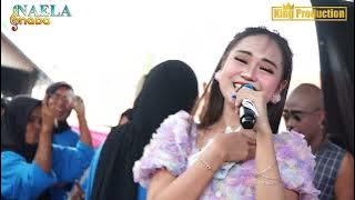 TOANG TAMBI  -  ANGGI WULANDARI -   NAELA NADA LIVE DESA JATIRENGGANG  TANGGAL 4 NOVEMBER 2023