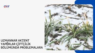 Uzmannar Akţent Yapȇrlar Çi̇ftçi̇li̇k Bölümündä Problemalara