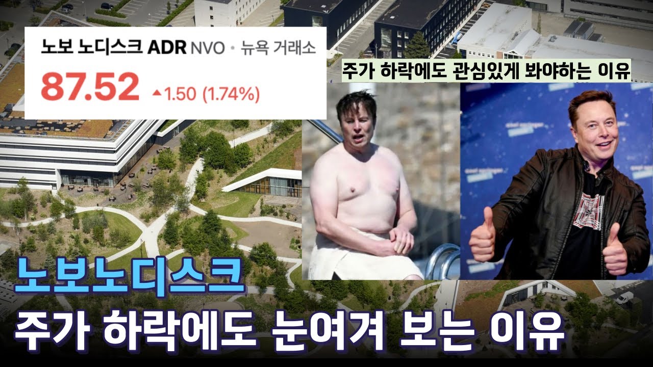 노보노디스크, 주가 하락에도 관심있게 봐야하는 이유 (ft. 일라이릴리, 위고비) - YouTube