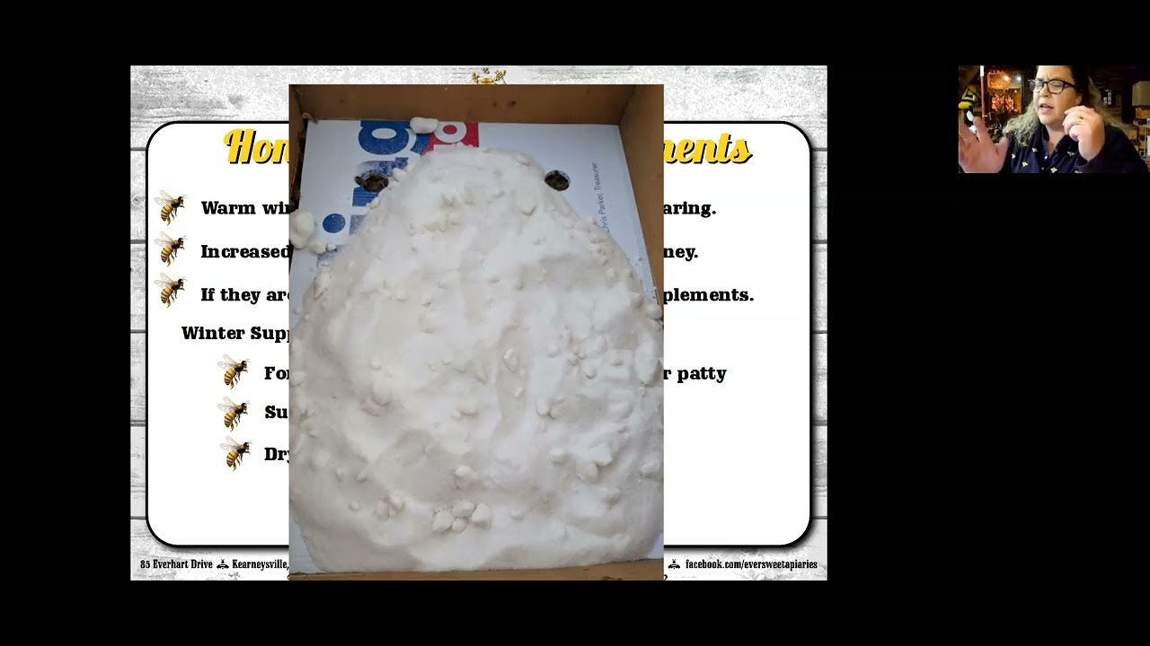 LBA presentation 09 January 2023