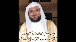 Abdul Wadud Haneef ∥ Sura Ar Rahman ∥ Recited 10X