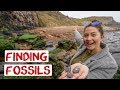 Finding Fossils In Whitby Yorkshire | Traditional Seaside Town | England Road Trip Travel Vlog 23