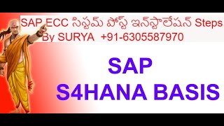 SAP ECC 6. EHP 8 SYSTEM POST INSTALLATION STEPS  సిస్టమ్ పోస్ట్ ఇన్‌స్టాలేషన్ BY SURYA