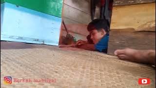 perdebatan antara dedi dan ricko, cucuk jubur cium