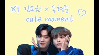 【曜檸】김요한 x 송형준 Kim Yo Han x Song Hyeong Jun cute moment