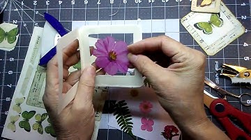 #The100DayProject | Day 1 | Inspired by: Specimen slides