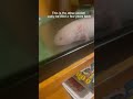 Sadly he died