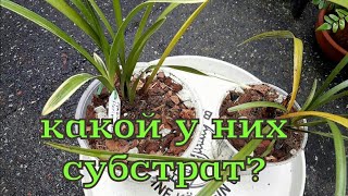 :  ,    .