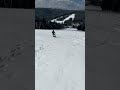 #freeride #powder #blackforest #schwarzwälder #hundseck