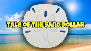 Tale of the Sand Dollar