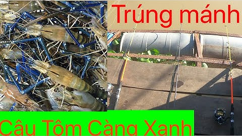 CÂU TÔM CÀNG XANH ĐẦU MÙA BẰNG MỒI HÀ ĐỎ,DÍNH LIÊN TỤC || ĐỒ CÂU CÁ MINH TIẾN#FISHING