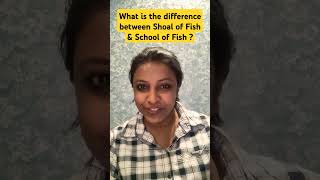 Download Lagu SHOAL OF FISH Vs SCHOOL OF FISH_Vocabulary Building MP3