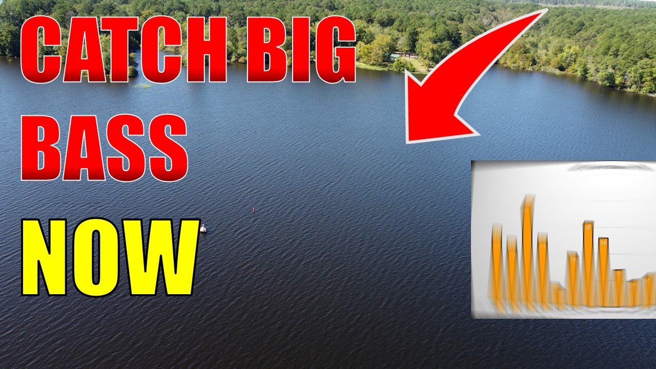 Catch Your BIGGEST BASS At This TIME