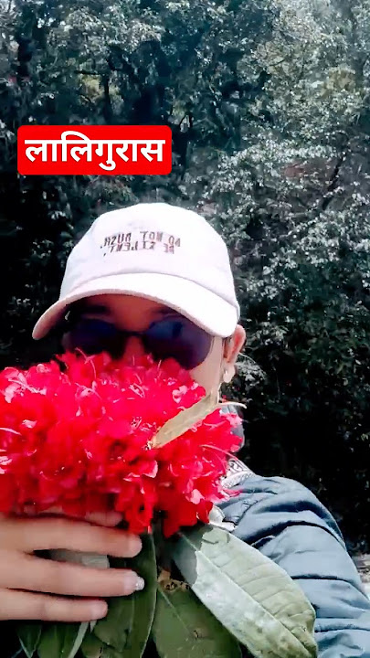 मलाई त अत्ति मन पर्छ /लाली गुराँस #shorts #trending #viral #shortsfeed #youtubeshorts #enjoyed