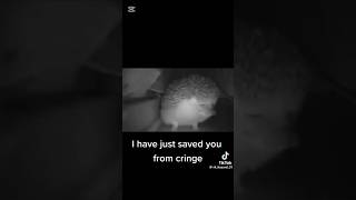 saved from cringe agen