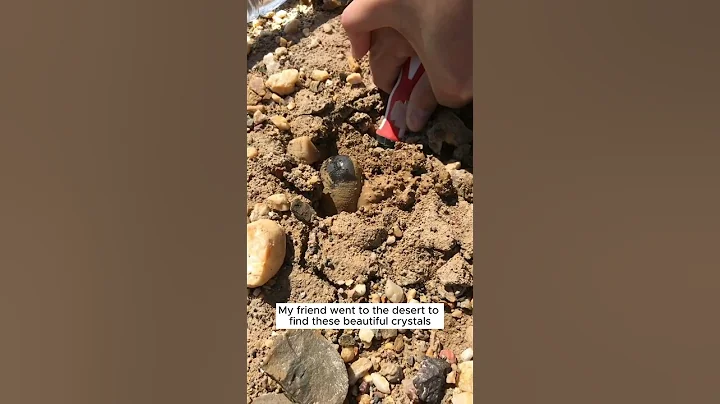 Rare Crystal #gemstone #hunting #rock #crystals #shorts