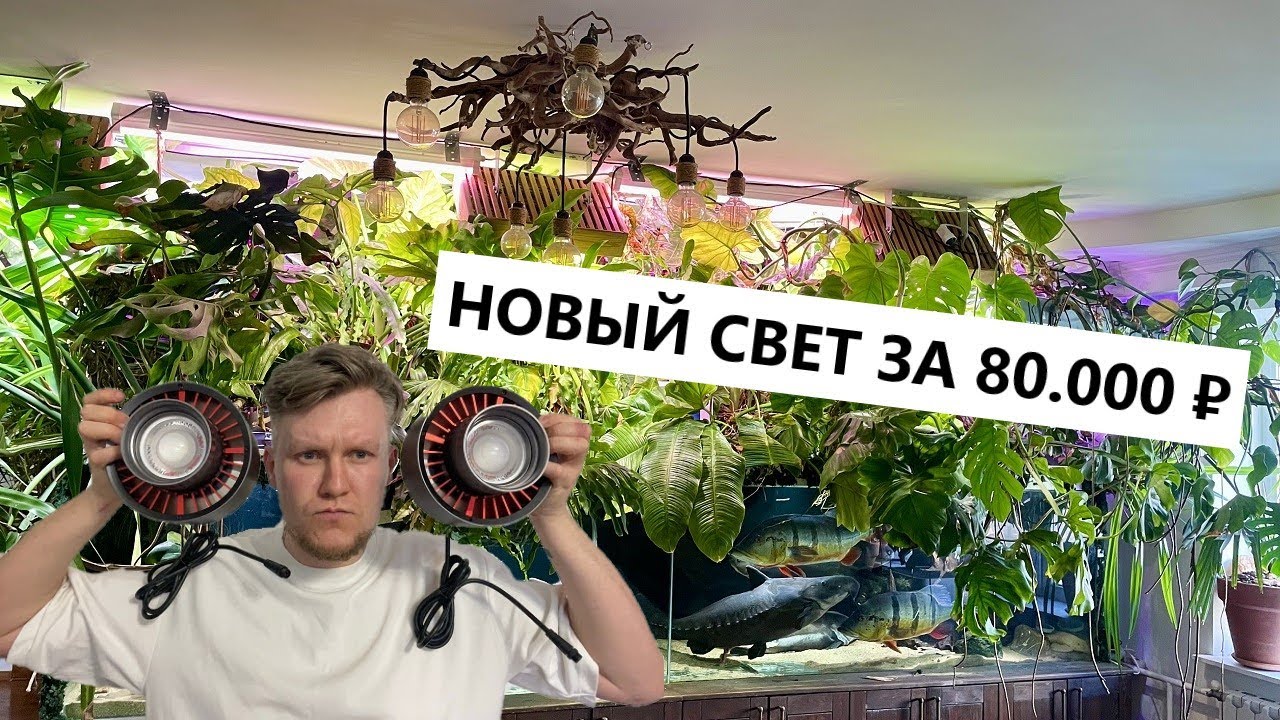 Меняю в домашнем аквариуме свет за 8000 ₽ на свет за 80000 ₽ / Стоит ли оно того?  / Ledstar tyndall