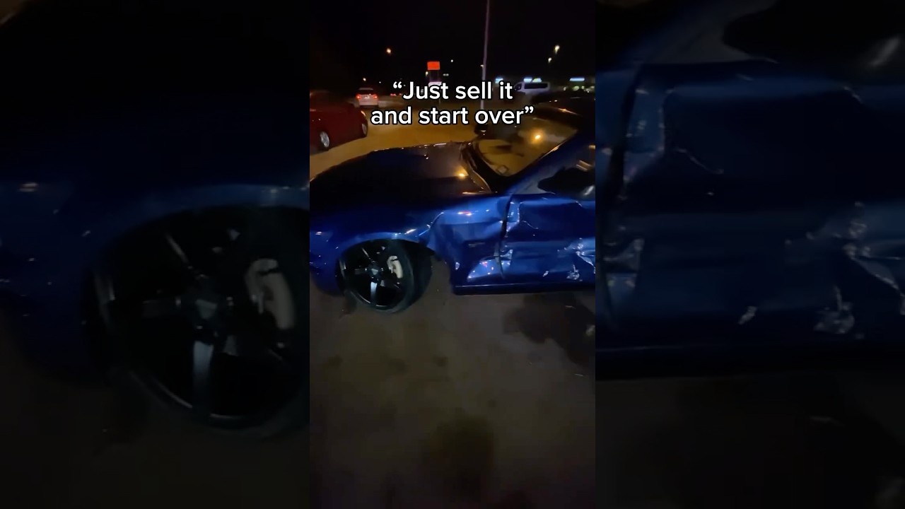 Mustangs Being Mustangs 😂 #561 #shorts