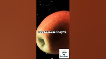 Did you Know Why Apple float in Water? #facts #didyouknow #apple #facts #mindblowingfacts #daily