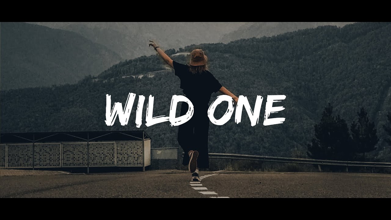 Meikle & Severman - Wild One (Lyrics) ft. Anthony Meyer