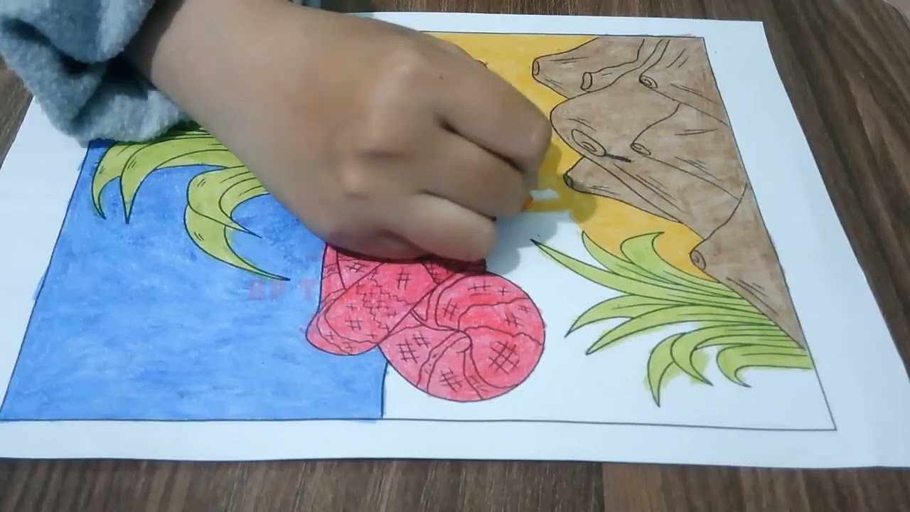 Color The Picture Of A Snake Coiled Up In The Sunlight In The Thick Grass 25 - Vaquero Perdido