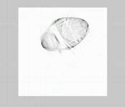 LIVE central slice reconstruction 1