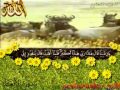 الشيخ سلامة عبد الحميد سورة الانعام 
