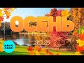 ОСЕНЬ 2025 | Лучшие хиты осени @MELOMAN-MUSIC