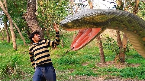 snake anaconda attack on village boy in forest #trending video #viral video