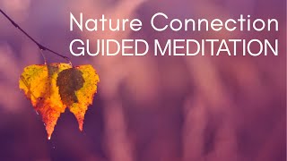 Connect with Nature Meditation: A 13-Minute Mindful Journey