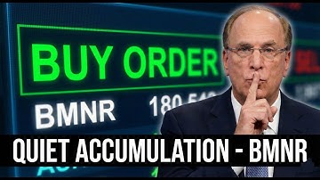 WHY BlackRock Owns 3.4M $BMNR But Says Nothing: Is BlackRock Building A "Private" Ethereum with BMNR