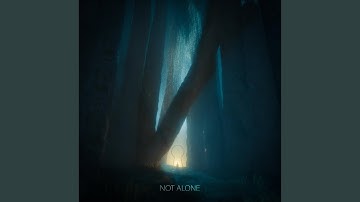 Not Alone