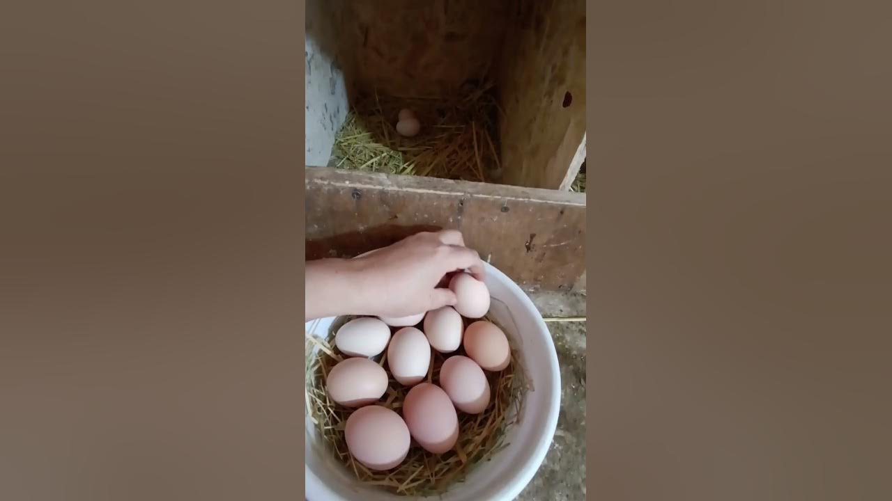 Gozal etuk ayollar fotosuratlari Qiz dostlari bilan rus porno video