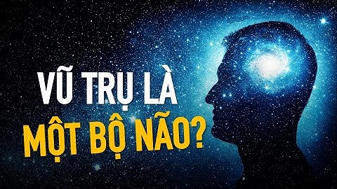 Chẳng lẽ chúng ta đang sống trong bộ não của sinh mệnh khổng lồ??